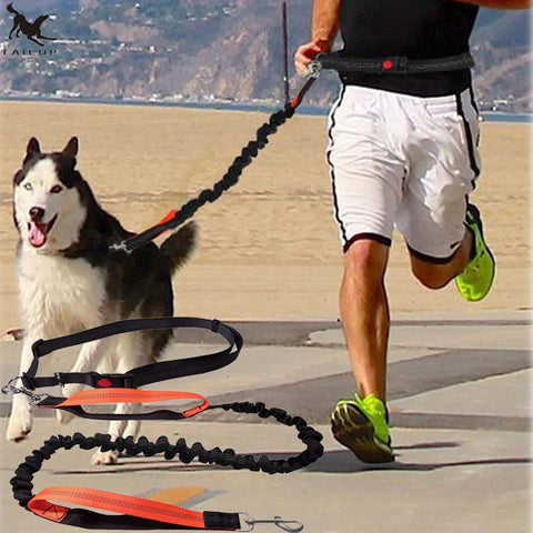 Elastic Running Dog Leash with Waist Belt - Accessories - Hoplite-Outfitters - Training, Racing and Recovery Gear