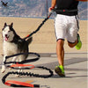 Image of Elastic Running Dog Leash with Waist Belt - Accessories - Hoplite-Outfitters - Training, Racing and Recovery Gear