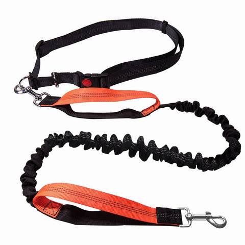 Elastic Running Dog Leash with Waist Belt
